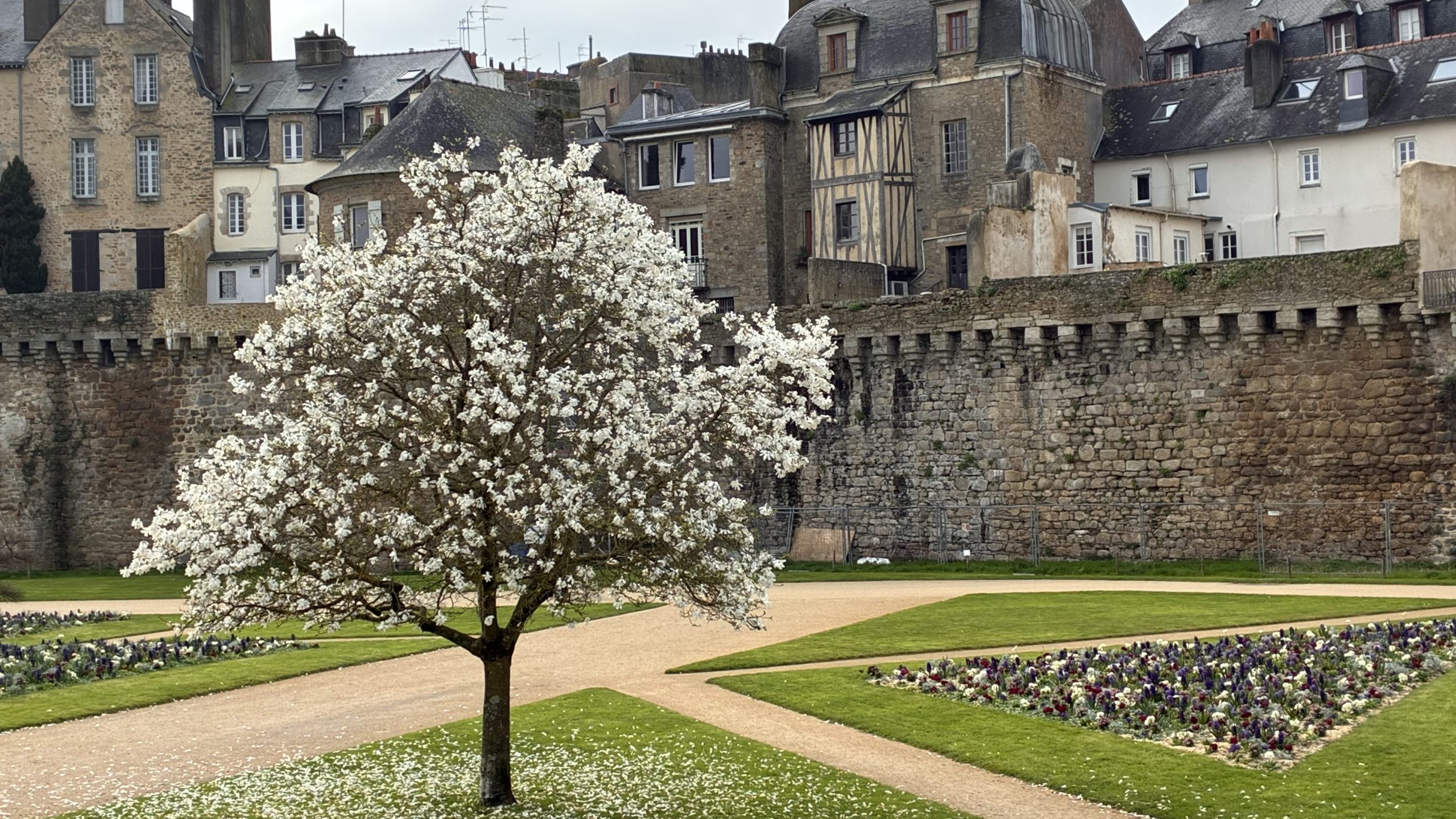 Maisons anciennes et jardins des remparts à Vannes